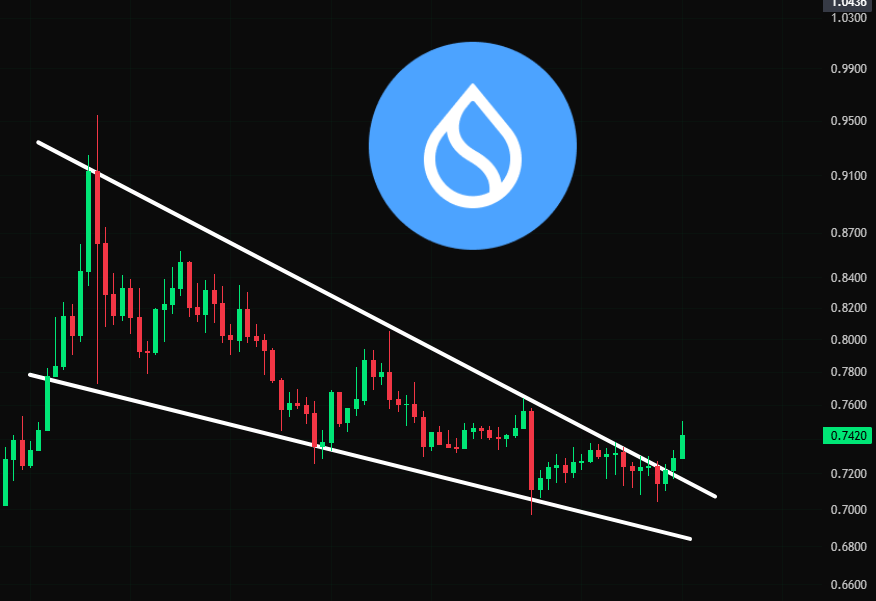 cryptojack's tweet photo. #SUI has broken out of the triangle. 

Is this the start of a pump, or just a fakeout? https://t.co/8N1XxsFSyH