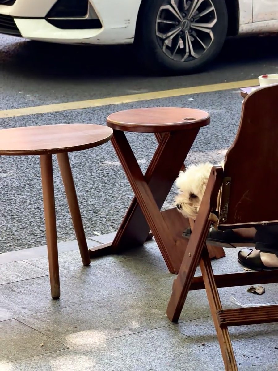 schatti2014's tweet photo. 武康路の近くは本当にchill全部で2階建てで、動物の古い友達のお店です https://t.co/3fB0fKB9Ia