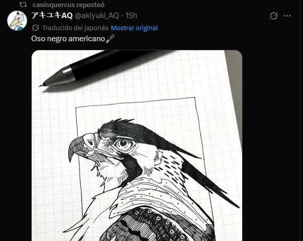 Wolferxtreme's tweet photo. Sí, mira, es un increíble dibujo pero NO CREO que sea un oso negro americano, pero solo creo eh, puedo estar equivocado https://t.co/A8W2fLlq2l