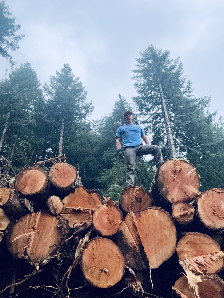 DaleStarkA10's tweet photo. Dudes will see this stack of timber and say hell yeah. https://t.co/u3hRf4aP1q