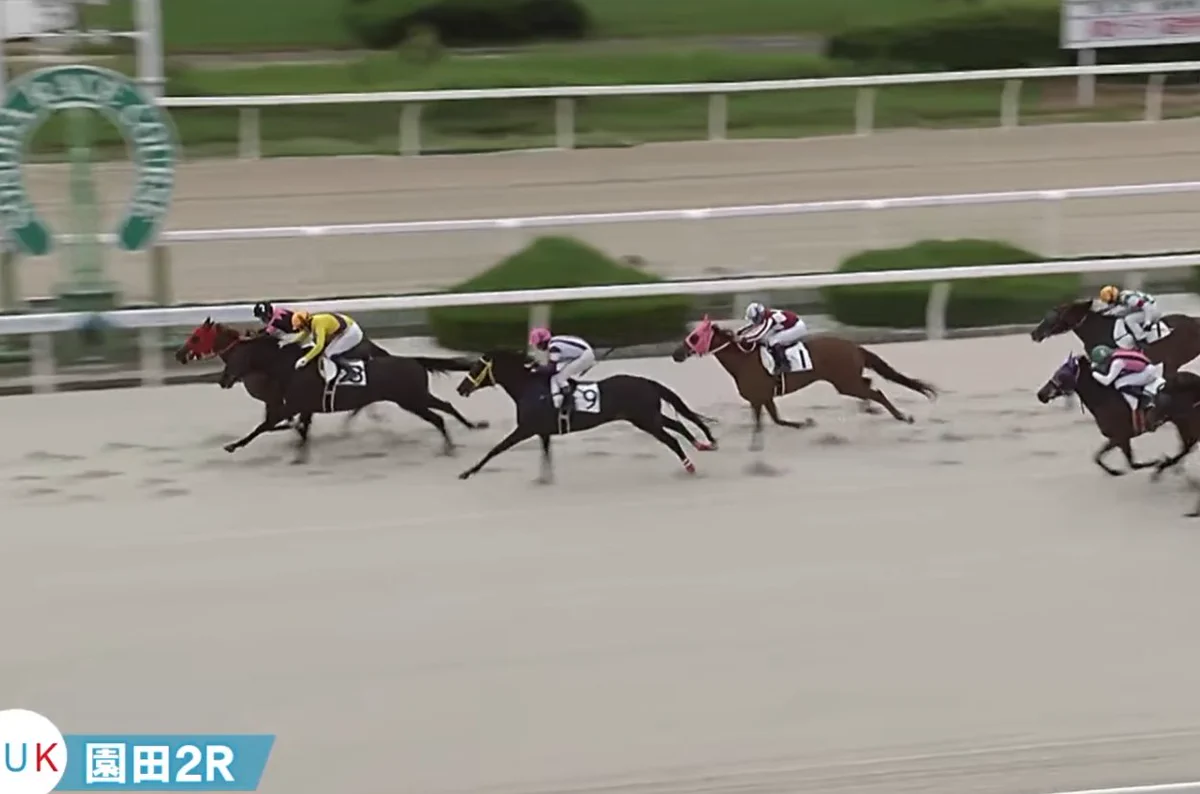 地方 競馬 ai 予想