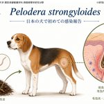 Photo by 野生動物病理学 Wildlife Pathology (@WildlifePathol)