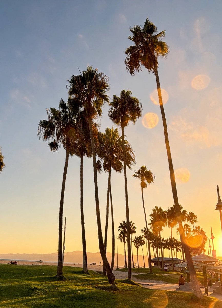 toddcarey's tweet photo. Bliss https://t.co/mmOsHGhLh6