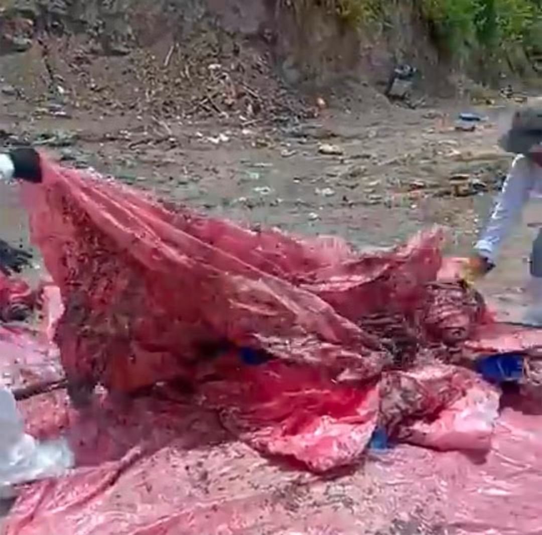 HtTrejo's tweet photo. <<De pues de hallar un cuerpo de una joven entre la basura, madres buscadoras encuentran bolsas de cadáveres en Nextlalpan.

Decenas de bolsas de traslado de cadáveres, algunas quemadas, otras que las autoridades del Estado de México ya investigan, fueron descubiertas este día por madres buscadoras de la “Colectiva Ehecatl”, durante la búsquedas que realizan en el canal de la mancha. 

Ayer, se dio a conocer que realizaron el descubrimiento del cuerpo de una joven que portaba una mochila, hoy dieron cuenta de este descubrimiento en redes sociales. 

Así mostraron las bolsas plásticas que contenían material orgánico y olores fuertes que les causaron reacciones alérgicas. La FGJEM  ya investiga el porqué de estos restos orgánicos en el lugar.>>