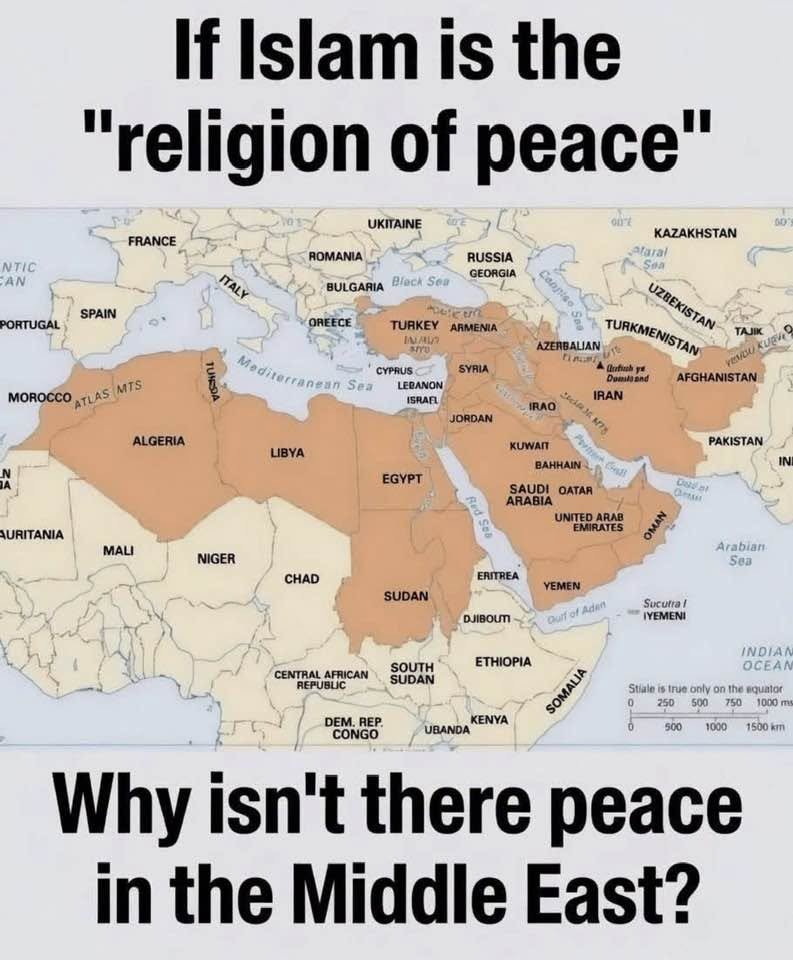 thompsonlee17's tweet photo. Fair question https://t.co/WHZNGonISy