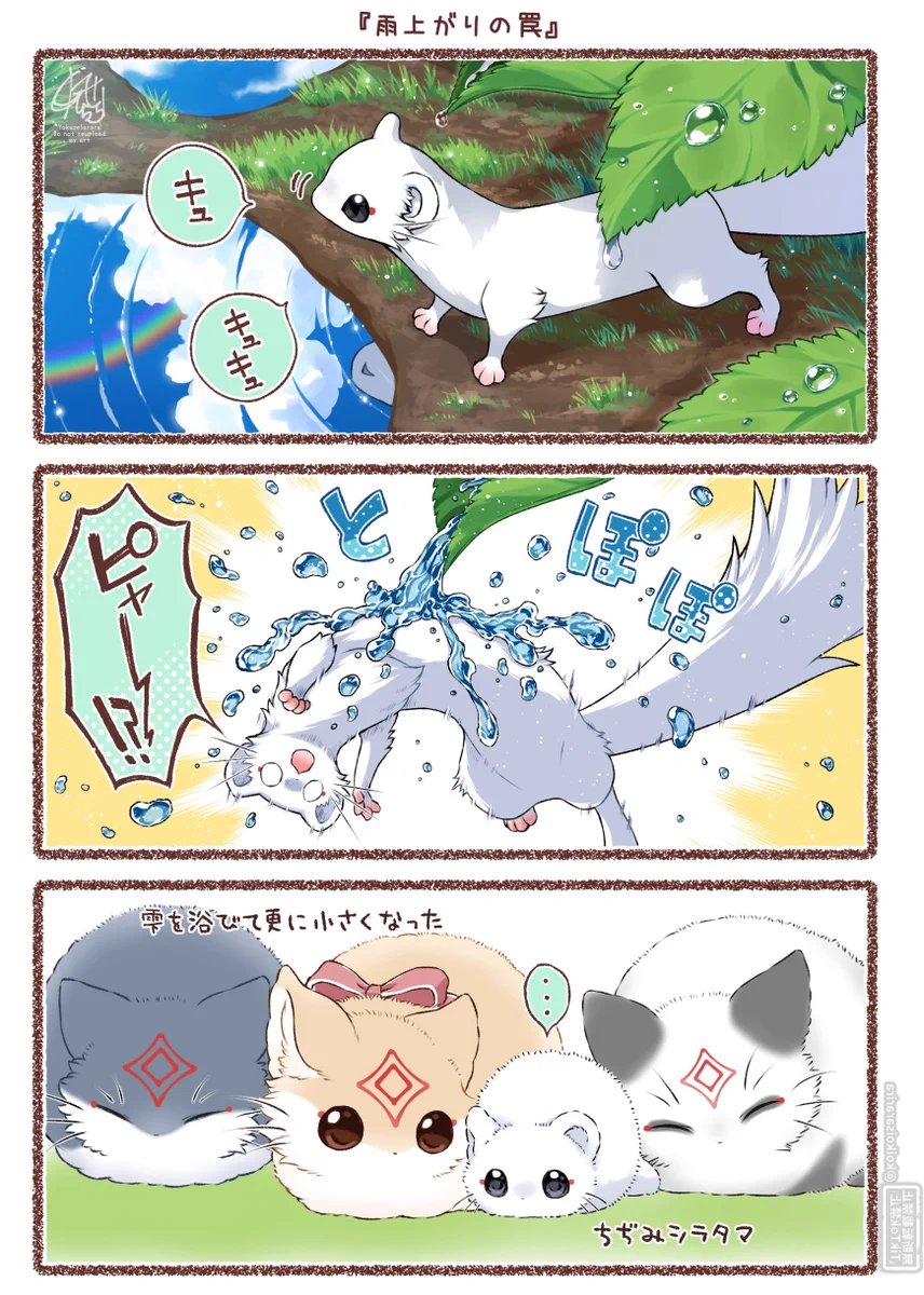 Reposts by ぽん吉🌱おやさい妖精さん (@PonkichiM) / X