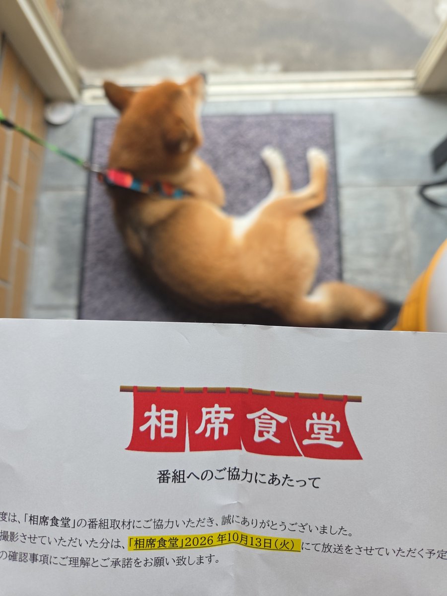 kinjirou0630's tweet photo. 今相席食堂のロケが来てて綱吉とあさひが出��かもです
インタビュー中綱吉はゲロしたので(撮れ高)大悟のちょっと待てぃ！が出るかもしれません https://t.co/j3F1zDSUsD