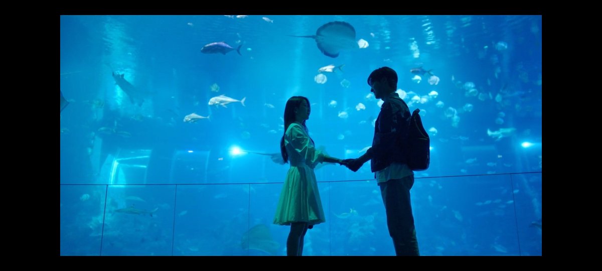 yinwarloving's tweet photo. I went to watch  kdrama , and suddenly they went to Singapore… then they went to the aquarium 😭! The universe is literally telling me to think about #aylio https://t.co/svop5Yoc20