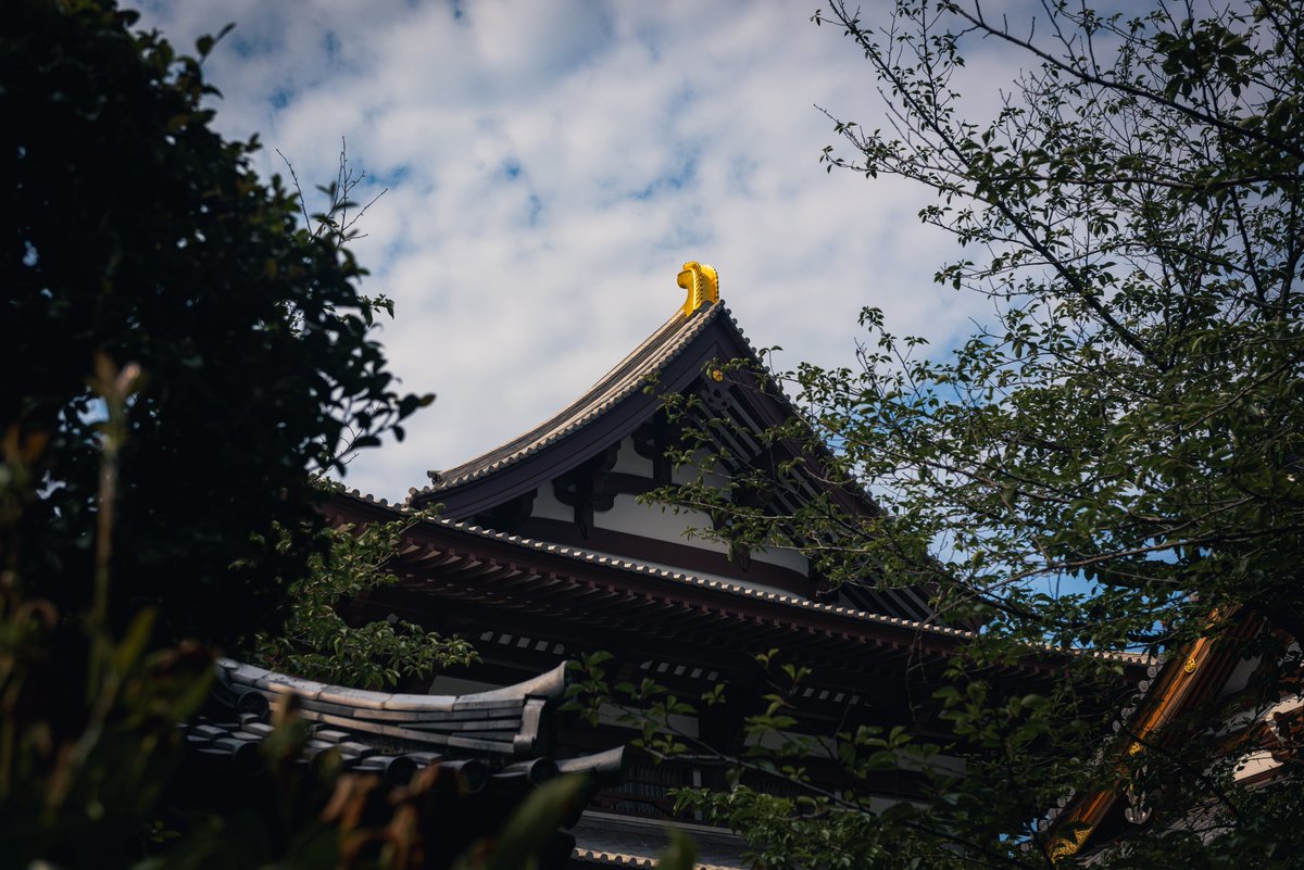 Fliz_ie's tweet photo. 増上寺。

#東京 https://t.co/joYVW0ILDf