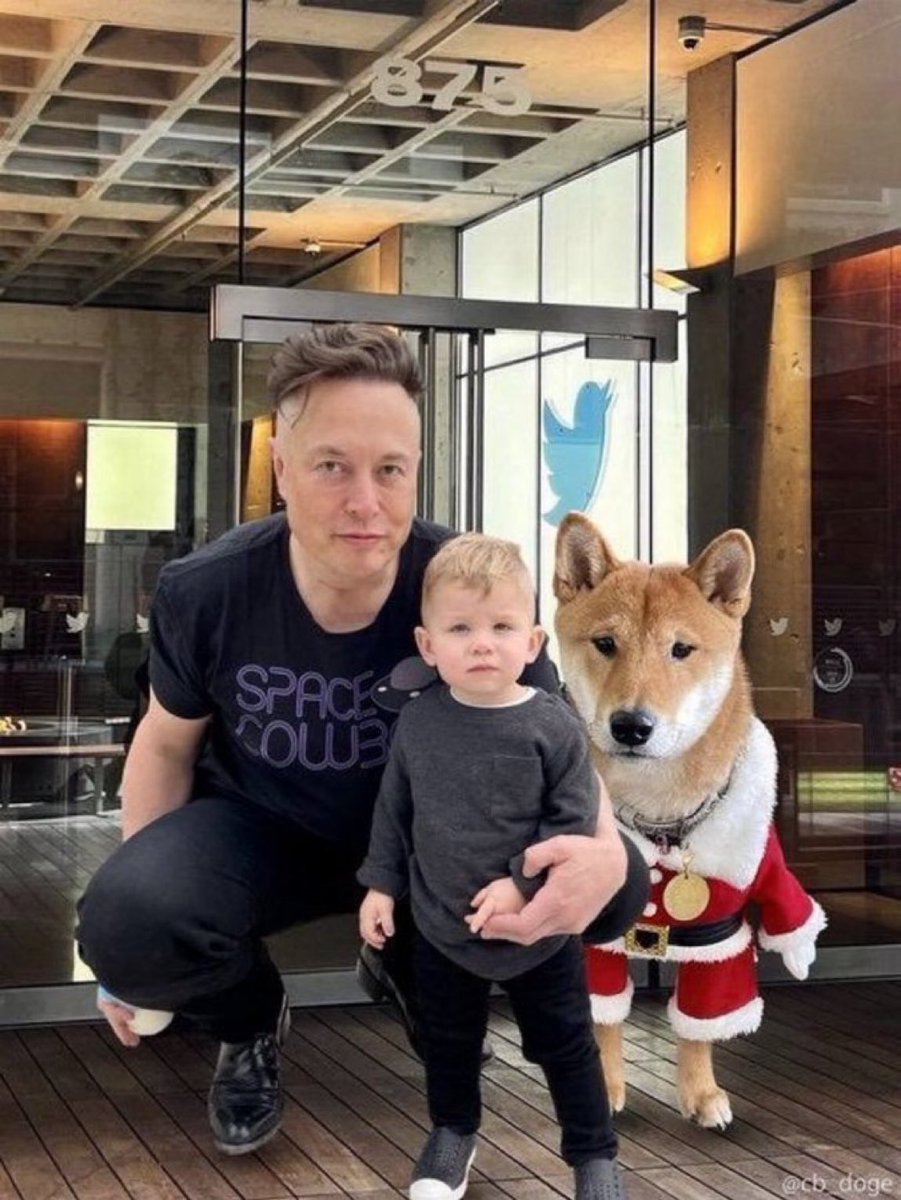 CEO_Elon2047's tweet photo. Be honest‼️‼️

Do you believe Elon Musk is good a man?

A:Yes👍🏽
B:No❌ https://t.co/Ns4W0jEbI8