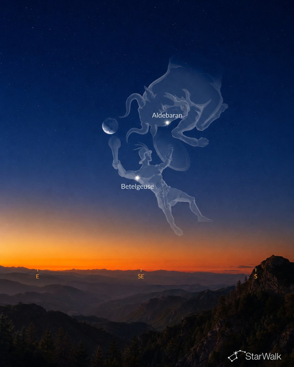 StarWalk's tweet photo. One star. Two almost perfect sky triangles. 🔺✨

First, on September 3, Betelgeuse forms a nearly equilateral triangle with Mars and Elnath.

Then, on September 5 or 6 — depending on your location — it does it again, this time with the waning crescent Moon and Aldebaran.

Each triangle stretches more than 20° across the sky, so you won’t need a telescope to see it. Just look east before sunrise and give your eyes a moment to adjust.
Which triangle would you rather catch? 👀