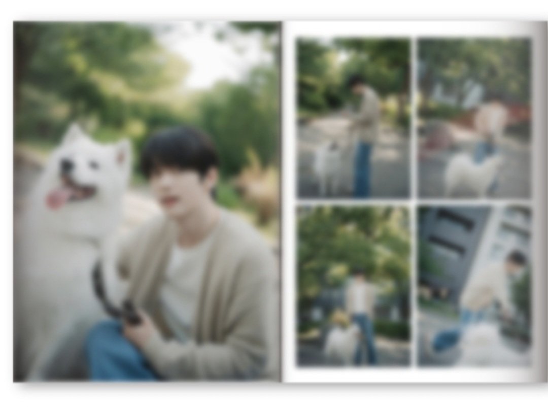 1209sbyj's tweet photo. sb and samoyed 😭 https://t.co/LTiKyuyI4X