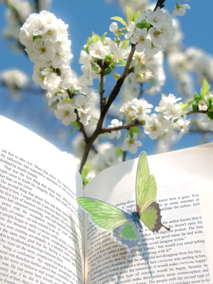 Naturalismpost's tweet photo. A beautiful chapter with butterfly https://t.co/mtarPf6bJV