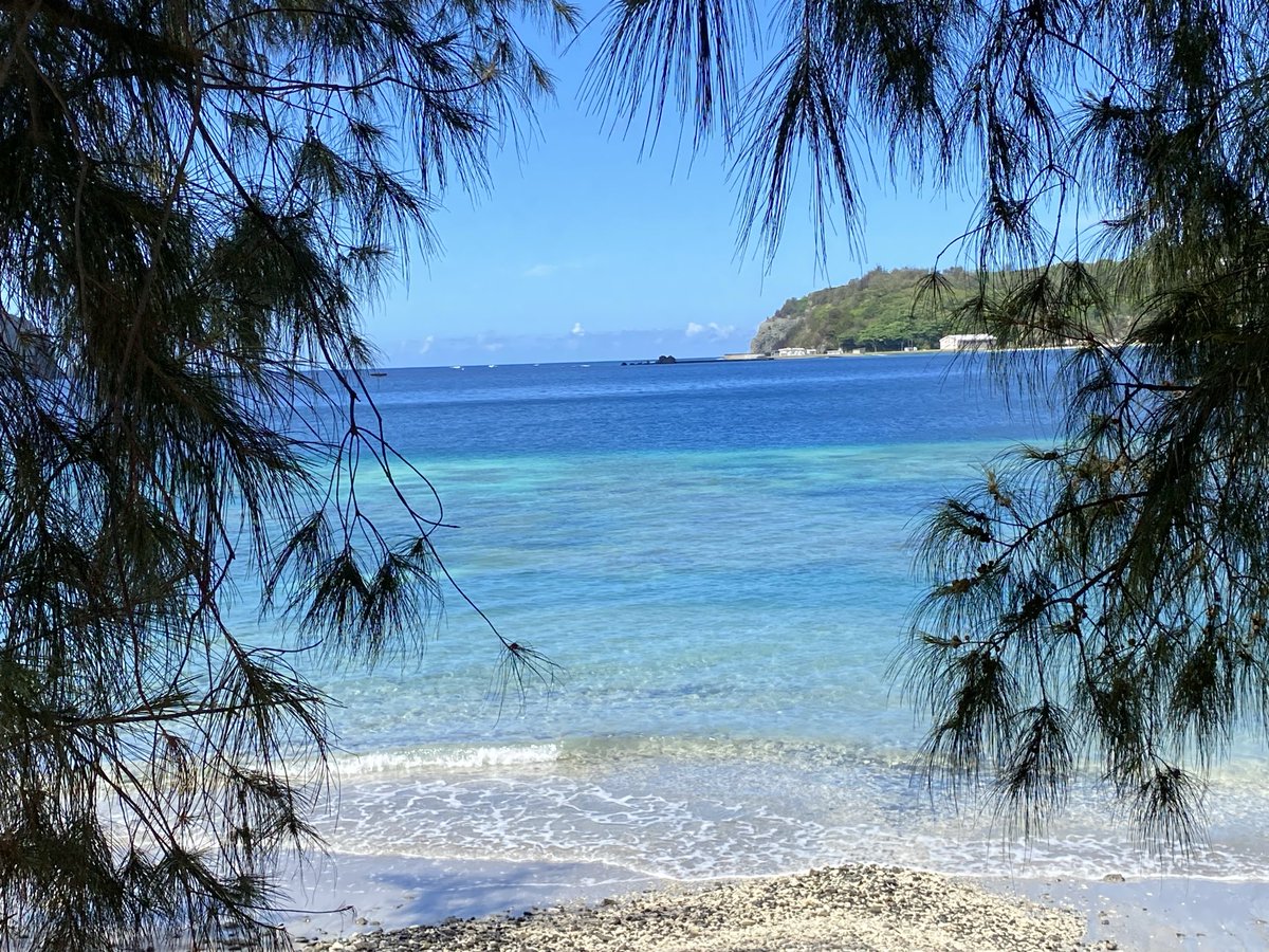 8mikan9's tweet photo. 今日は午前中の満潮時に #製氷海岸 へ。枝珊瑚が凄かったー #父島 https://t.co/Qbb6tz9Yyu