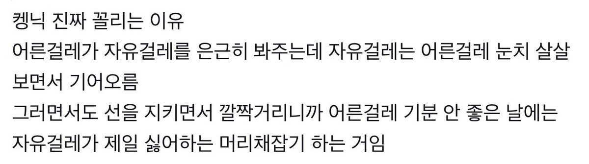 __OwO__nini's tweet photo. 켕닉 비계트수출.. https://t.co/8zN8blordM