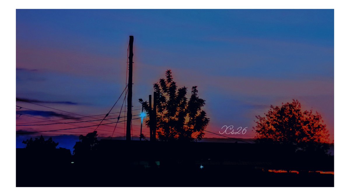 xander_ochieng's tweet photo. Stillness in the first light
GM

#shotonpixel https://t.co/qChciwY1sd