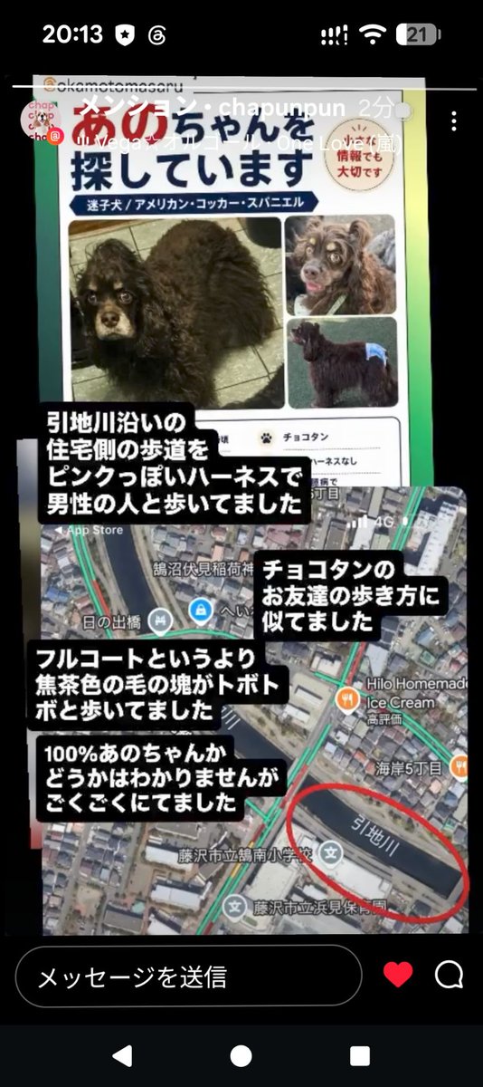ano_mama10150's tweet photo. 【🚨🆘️あのを探してます】
#探してますアメリカンコッカースパニエル
#拡散お願いします
あのに似た子の目撃情報がありました。
詳細は写真を添付させて頂きます🙇
あのに似た子を見かけましたらご一報いただけますと幸いです。
お力を貸して下さい。
お願い致します🙇
マイクロチップ有り https://t.co/Bob7jeSpre