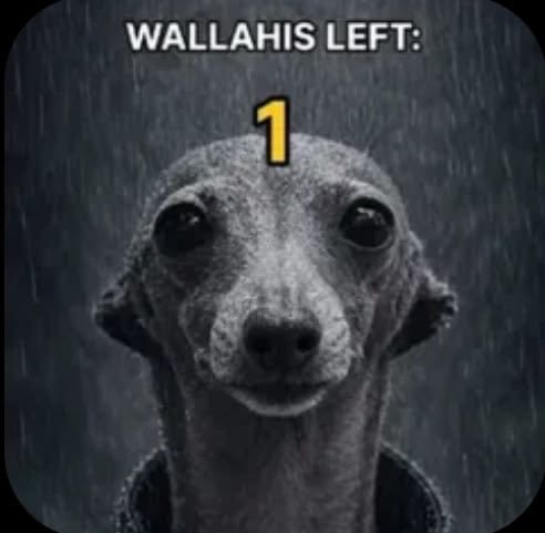 sufferinx's tweet photo. https://t.co/PnIPbBYECV