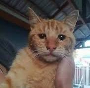 lenonmonrow's tweet photo. Darse cuenta que uno en general es muy aburrido en persona es como ª https://t.co/hnIoC6NMdZ