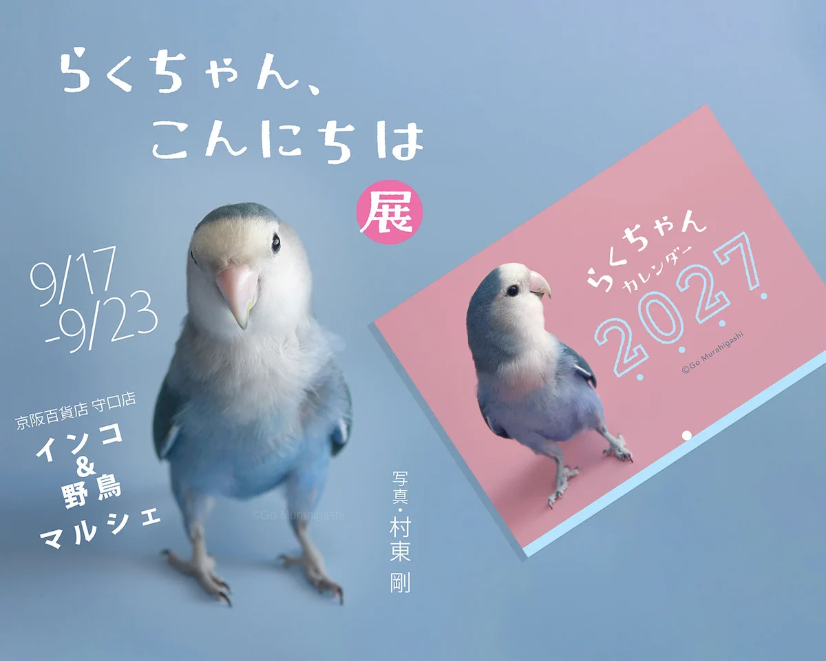 村東剛 (おと写真館) インコのらくちゃんカレンダー2027発売中 on X