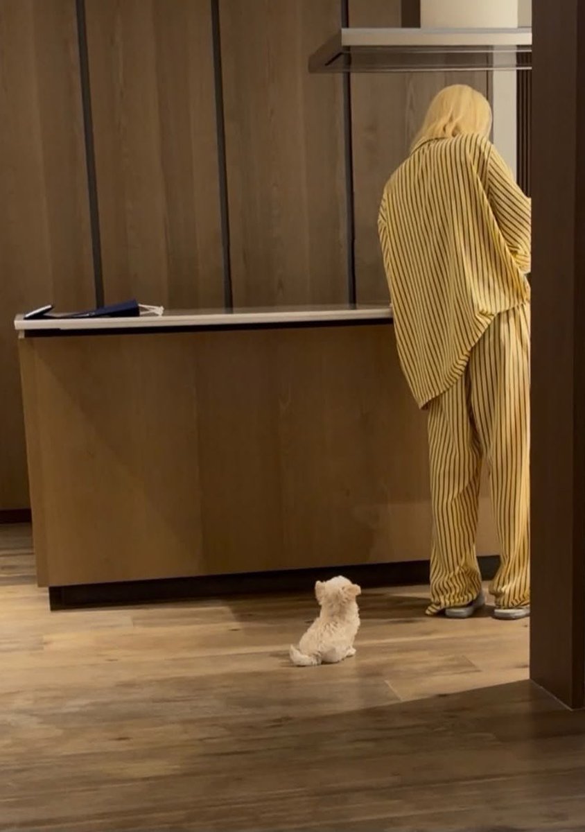 chaenglovesus's tweet photo. seven is a hotdog and pponyo is a popcorn 😭 https://t.co/hMJ2gLSF9B