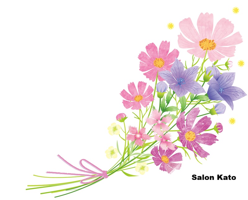salonkato tweet picture