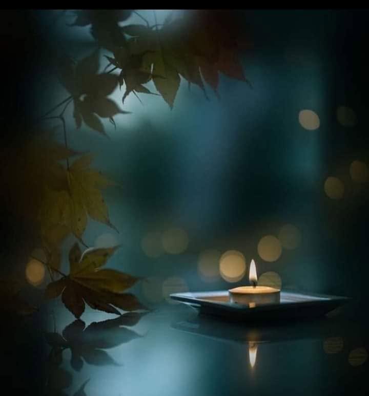 fraveris's tweet photo. "Energy always returns when hope returns."

José Saramago https://t.co/cJEc1uU7V7