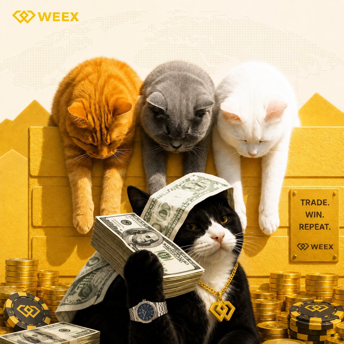 mob_on_sol_cto's tweet photo. G Nooon WEEX

Don't bother cats > the just care about money

Money over bitches, right?

https://t.co/ksN8TnthPx

solana:2tUS7AK6V9eLHYLZNuNkRiskw1L2sFe9Rvgo1Jr8pump   taken over by Community
@WEEX_Official wanna dig in?