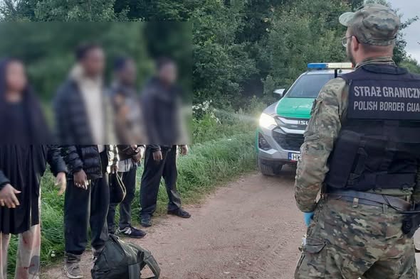 Darekbrzoza's tweet photo. "🚨 81 migrantów ukrytych w dwóch ciężarówkach. Nowy szlak przerzutowy prowadzi przez Podlasie!
Nielegalna migracja coraz częściej omija bezpośrednią granicę polsko-białoruską. Przestępcze grupy kierują ludzi przez Białoruś na Łotwę lub Litwę, a następnie przez Polskę do państw Europy Zachodniej.
📍 Skalę procederu pokazały kontrole w Budzisku. W lipcu, w odstępie zaledwie ośmiu dni, służby ujawniły:
➡️ 54 osoby ukryte w naczepie ciężarówki jadącej z Łotwy,
➡️ 27 osób przewożonych w ciężarówce załadowanej torfem.
Zatrzymani pochodzili https://t.co/NS6TdplxPj. z Afganistanu, Pakistanu, Bangladeszu i Somalii. Od początku 2026 roku na polsko-litewskim odcinku granicy ujawniono już setki osób próbujących dostać się do Polski niezgodnie z przepisami.
To nie są przypadkowe przejazdy, lecz dobrze zorganizowany i dochodowy biznes. Kurierzy odbierają migrantów w pobliżu granicy, a następnie samochodami, busami i ciężarówkami próbują przewieźć ich dalej na Zachód. W działania przeciwko przemytnikom zaangażowane są Straż Graniczna, KAS, Policja oraz wojsko.
⚖️ Za organizowanie nielegalnego przekraczania granicy może grozić nawet 8 lat więzienia.
💬 Czy kontrole na granicy z Litwą powinny zostać jeszcze bardziej zaostrzone? A może kluczowe jest przede wszystkim dotarcie do organizatorów całego procederu?
#Podlasie #Granica #StrażGraniczna #Budzisko #NielegalnaMigracja
Źródła: Podlaski Oddział Straży Granicznej, Krajowa Administracja Skarbowa "
za Małgorzata Bąk