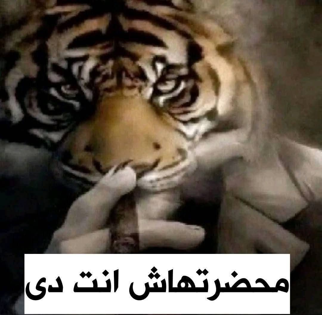 ahmd_ashrf00's tweet photo. 2026 https://t.co/2f0fk1vhrG