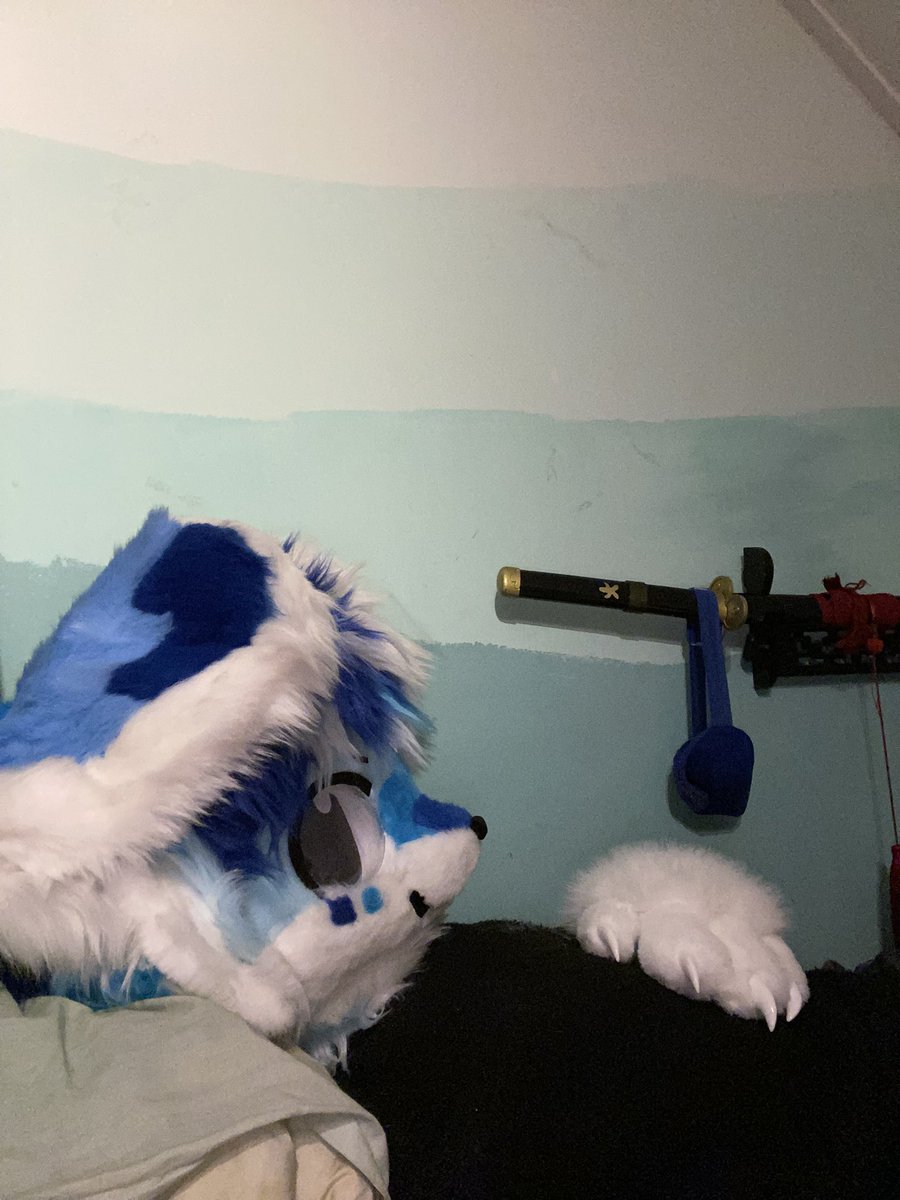 Revv_0's tweet photo. What coming home at 5 pm with 4 hours of sleep does to a fuzzy 
#furry https://t.co/Gwbgir9JPN
