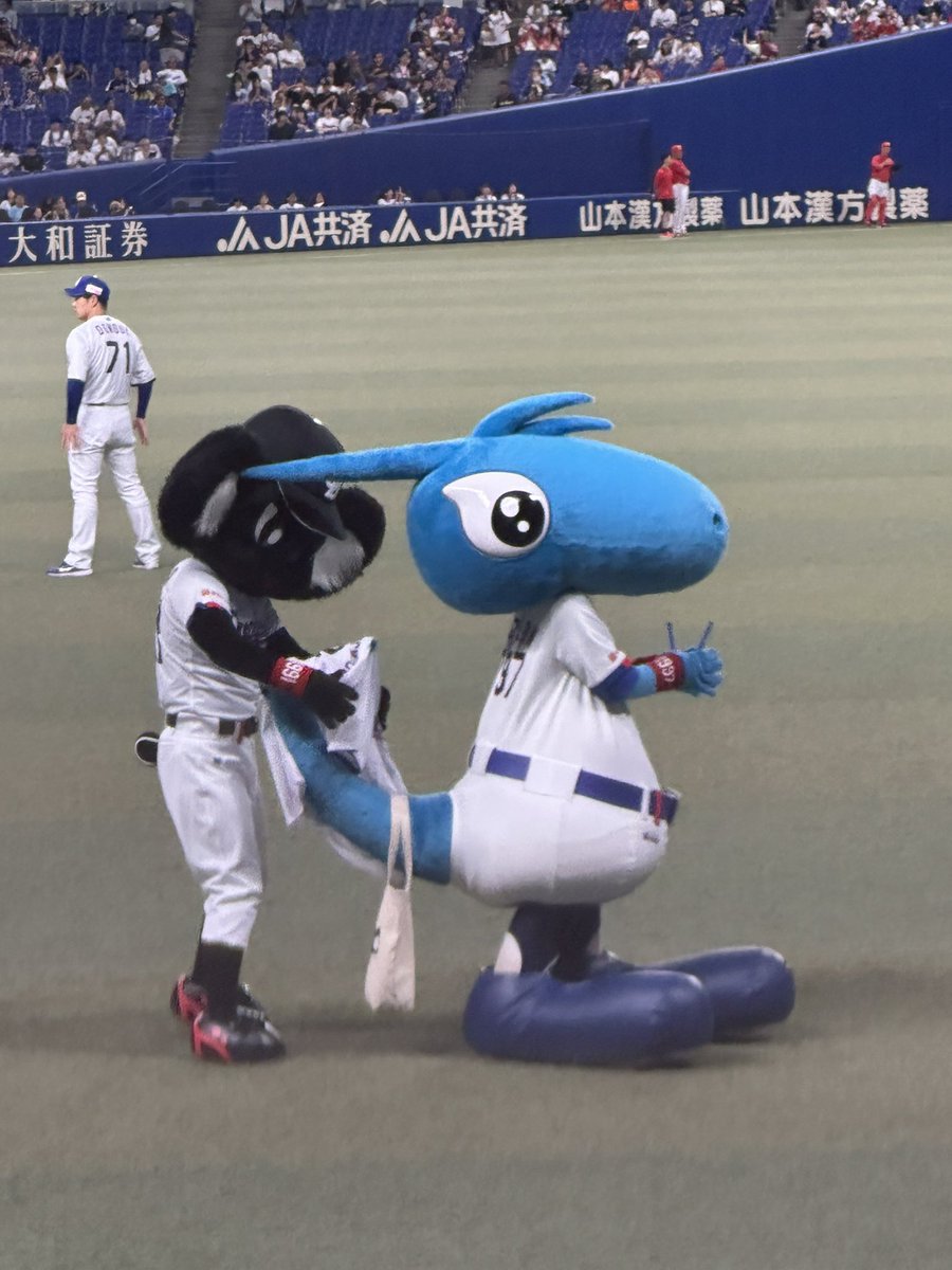 kijitora_cats's tweet photo. 続きの写真と、この後動画もちょびっと。
なんかこーゆーのひさびさ(笑) https://t.co/UIiAE4g1aO