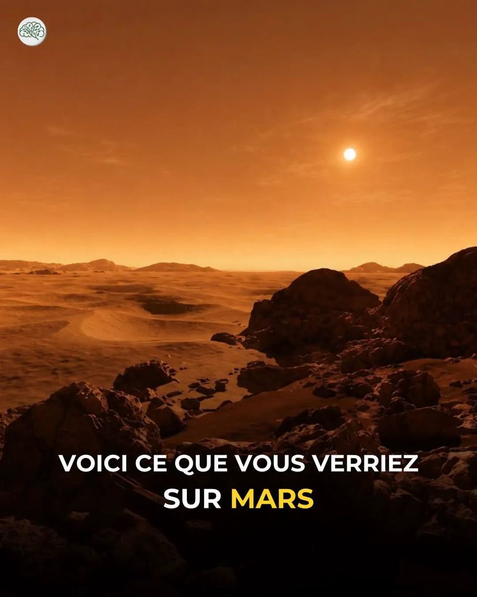 SystSolaire's tweet photo. Il est ocre. Orangé. Parfois rosé.
À cause des poussières d’oxyde de fer en suspension.

Le Soleil y paraît plus petit.
Mars est 1,5 fois plus loin : son disque semble environ 30 % plus réduit.

Atmosphère 100 fois moins dense.

📸 : @NASA, @esa, Mars Exploration Program, JPL https://t.co/WyyPtjw8Fz