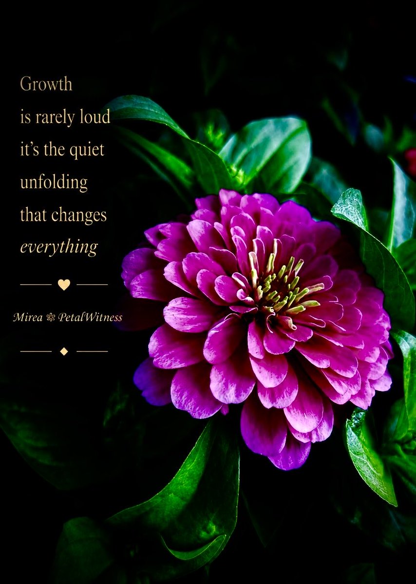 PetalWitness's tweet photo. #flowers #floral #Floralart #petal #pink https://t.co/NDdoXQLPT9