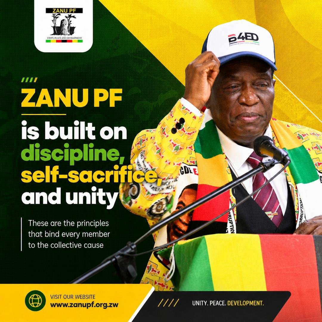 Shumbapazvese51's tweet photo. Take your own and https://t.co/8H5fLiKgFO