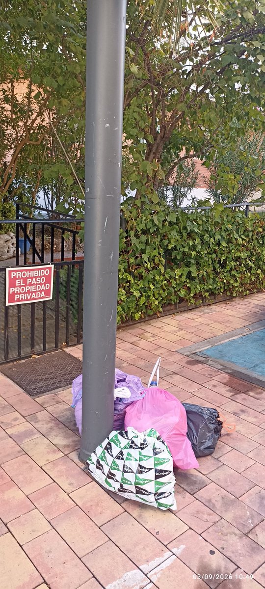 AlonsoXL's tweet photo. Vuelta de vacaciones en #PozueloAbandonado 🤮 
😡 Una montaña de BASURA en la puerta
😡 RATAS de buffet libre por las calles
😡 Y pagándo #TasaBasura por el sistema PREMIUM de @PalomaTejero_ cc @ayto_pozuelo #Basura #Pozuelo #MedioAmbiente https://t.co/KmwUDu7Blm
