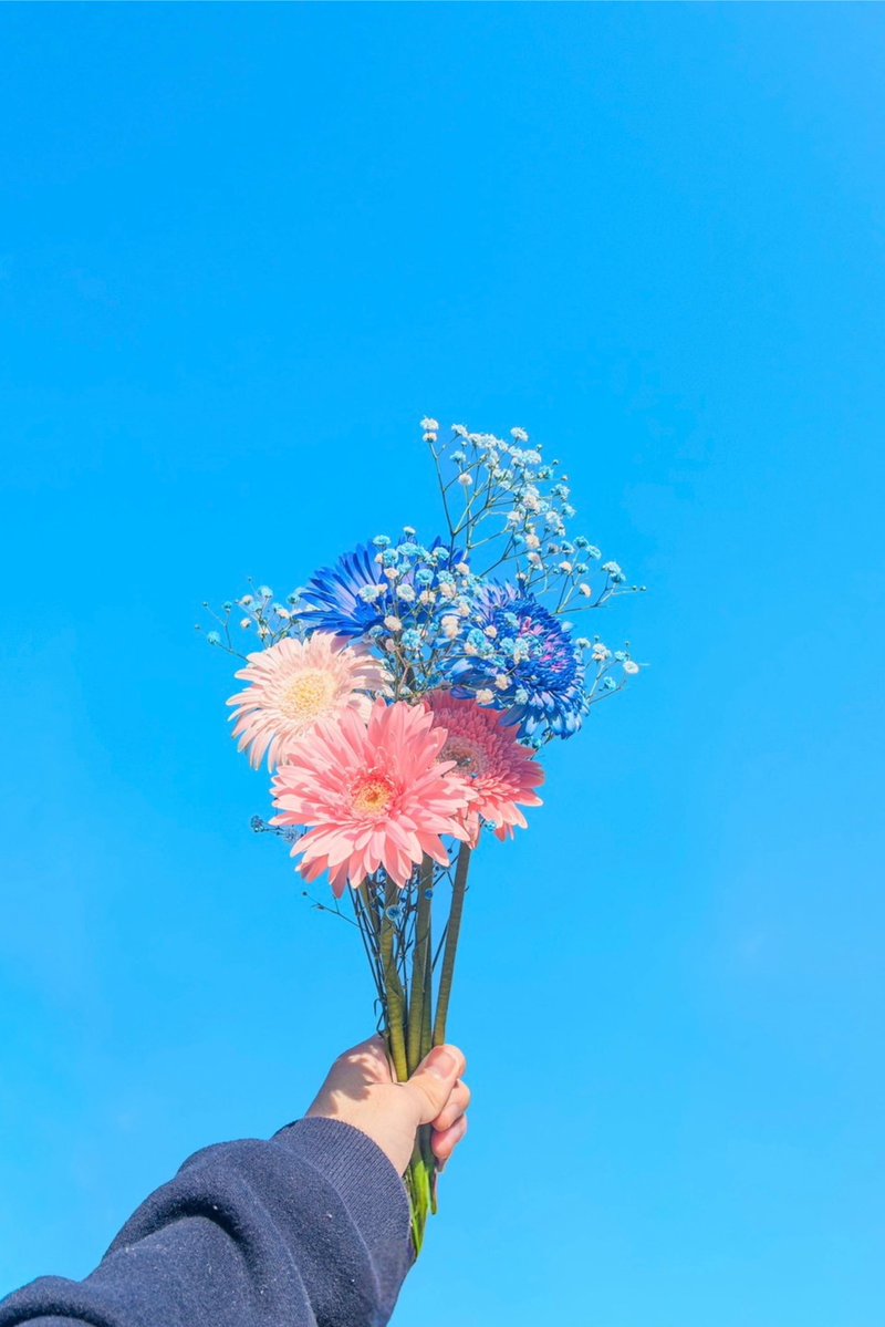 Noah_photobook's tweet photo. 青空とお花が好き https://t.co/jCKMNw4E9g