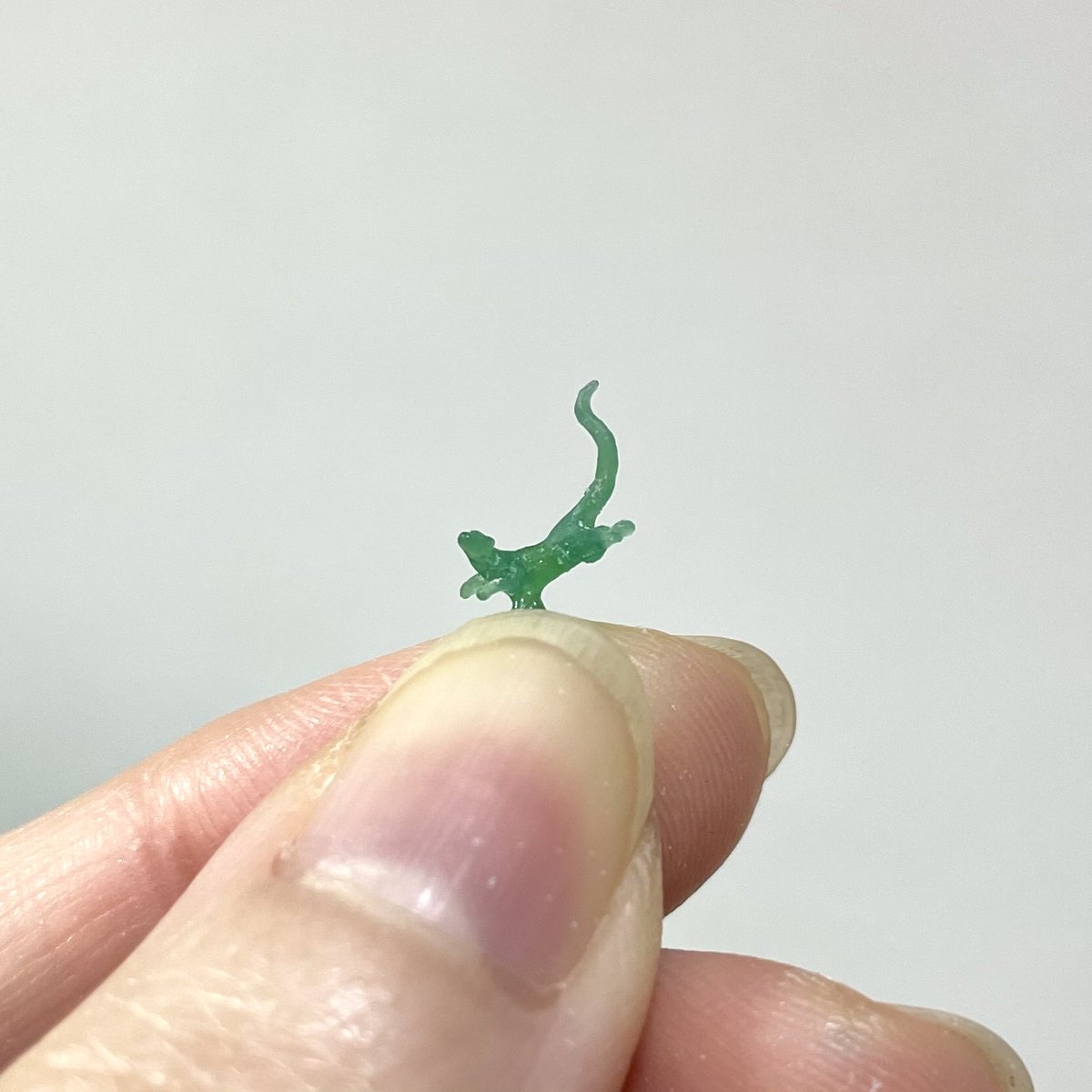 ttinyy_x's tweet photo. 水草の森をスイスイ泳ぐちいこきカワウソ🦦
水草の作るの大変だったー！
よく頑張りました👏

#いきもにあ2026 https://t.co/cnCeYRn3tH