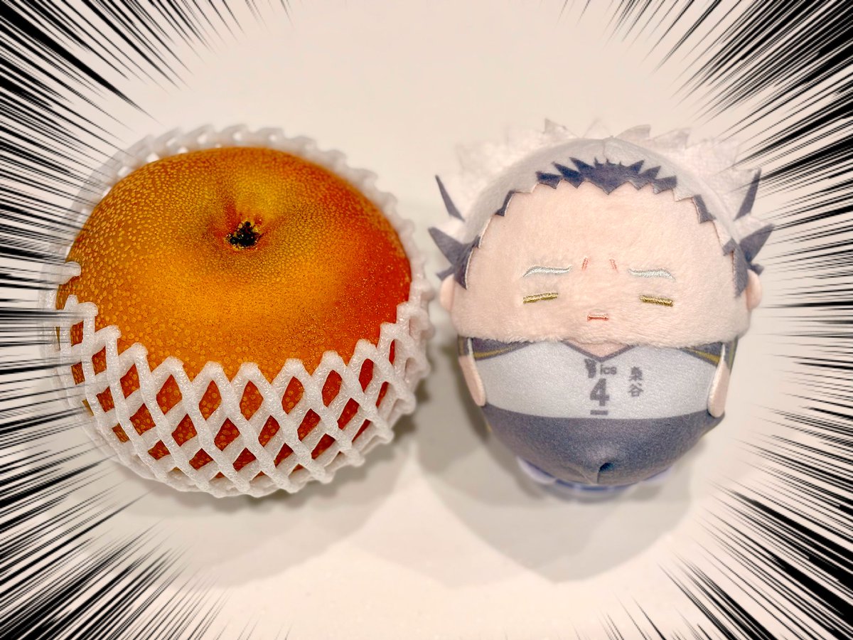 oseronyanko's tweet photo. ぼっくんより大きい！🤣🍐✨ https://t.co/1v5RYIApp3