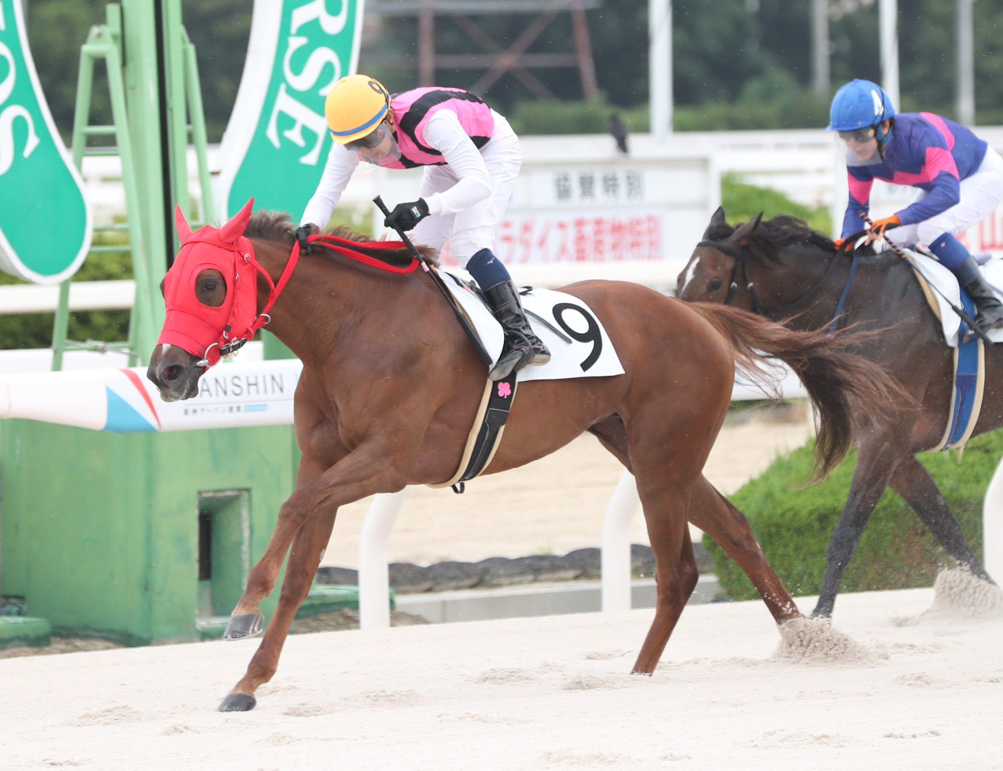 スポニチ競馬Web🐴 on X: 