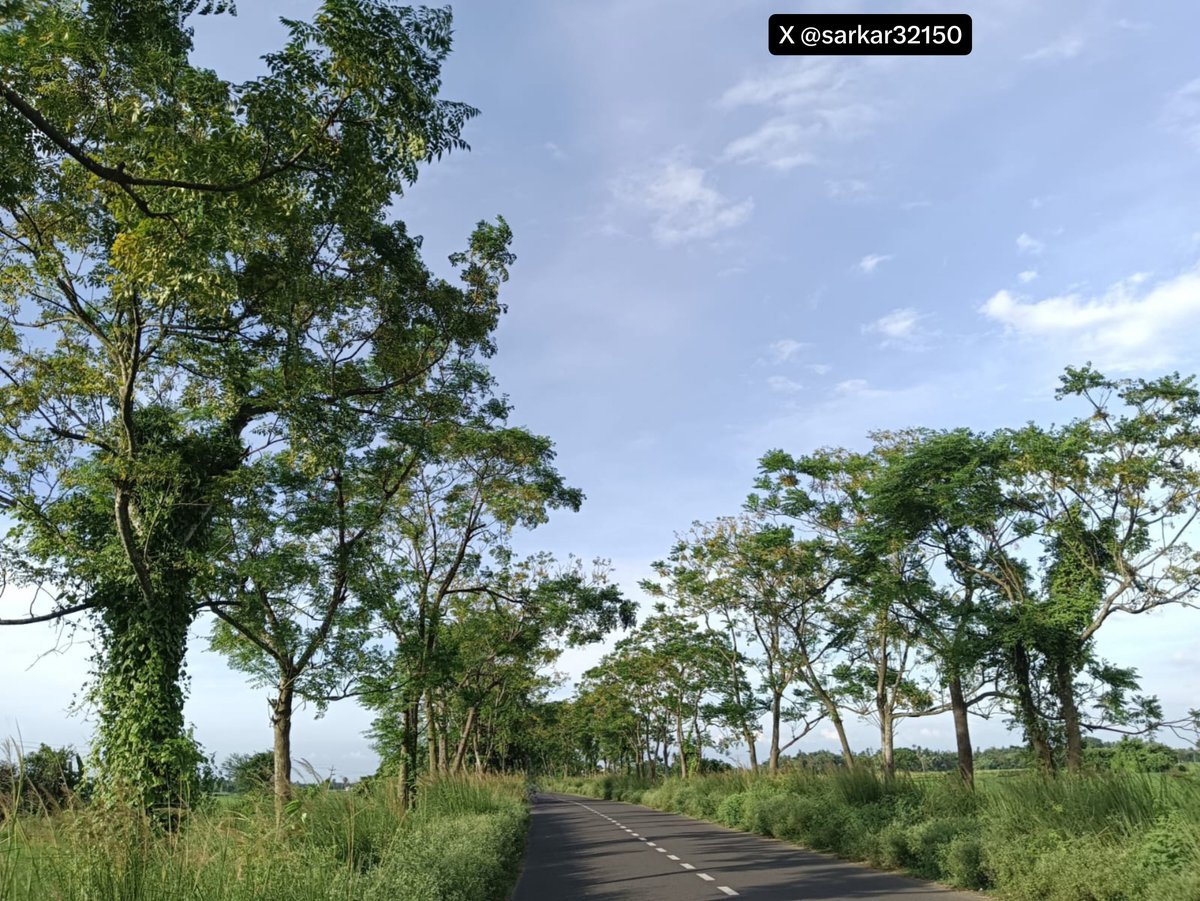 sarkar32150's tweet photo. The road that leads to peace... 🌿🛣️
No traffic, no noise, just green trees, blue sky, and an endless road. Sometimes the most beautiful journeys are the most simple ones.
Good Morning from nature's lap! 💚
#naturephotography #roadtrip #greenery #villageRoad #travelphotography #naturelover #peaceful #skylover #beautifulroads #morningvibes #indiatravel #exploreindia #ruralindia
