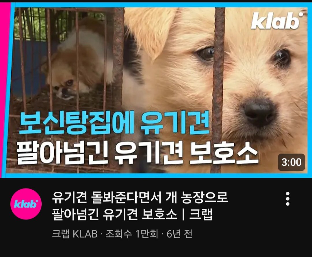 animalrtaccount's tweet photo. 6년전 영상. 정읍보호소. 유기견공고 올라온 애들이 보이지 않음 - 개도살자에게 정읍시가 넘겨 버림
https://t.co/6UYvT5oRio https://t.co/oGHD6zDcJS