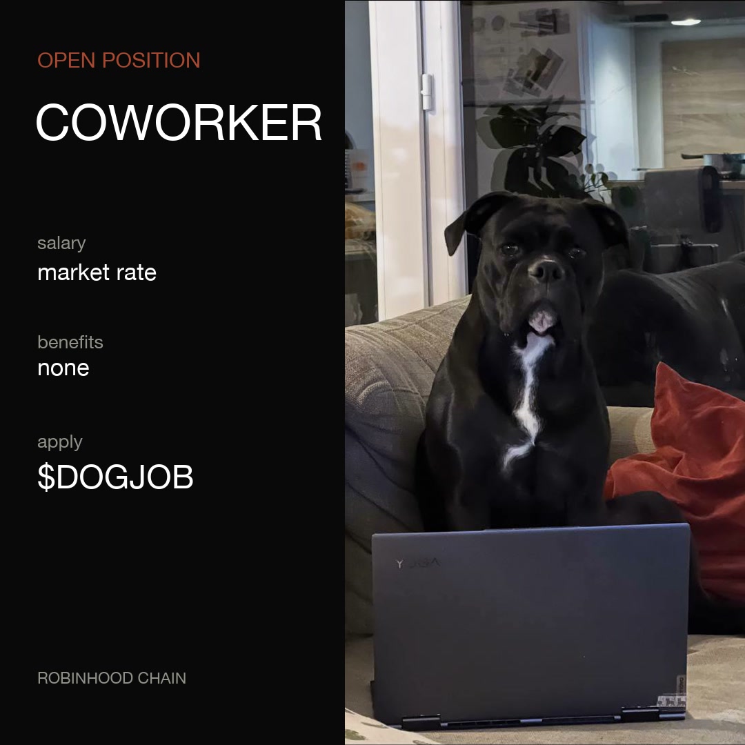 DogJobRH tweet picture