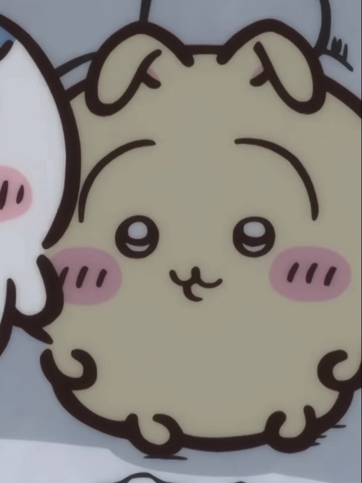 yonittu's tweet photo. 강아디 곰 고양이 요다~ https://t.co/3FRCP6vvUg
