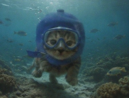 CapCatonRH's tweet photo. goggles on https://t.co/X38Av5GhRJ
