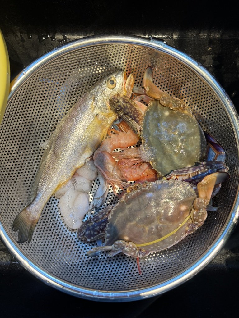 sanjaykers's tweet photo. Fresh seafood, worldly delight. https://t.co/AeW61neBRP