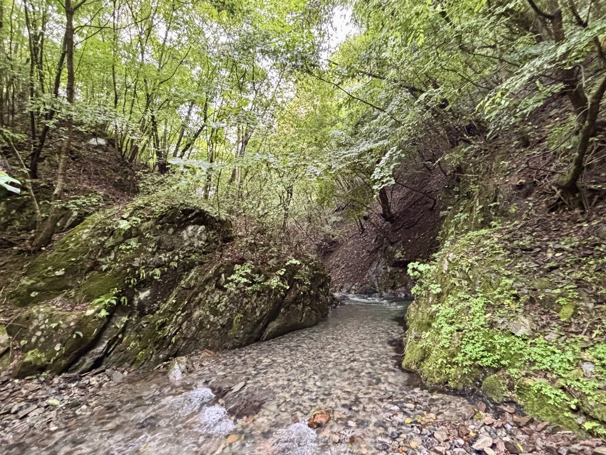 tencho_last1997's tweet photo. 大規模な土砂崩れで川底が埋まってしまった為、足が遠のいていた渓流へ数年ぶりの釣行🎣
全体的に浅く流速のあるポイントの連続で魚影は薄いが、水深のあるポイントには必ず良型が居着いてる感じ🐟✨
#exts464ul
#awayco40s
#corence45s
#otts_bill50s
#extreme_山女魚ネット https://t.co/HUtNhJCaR1