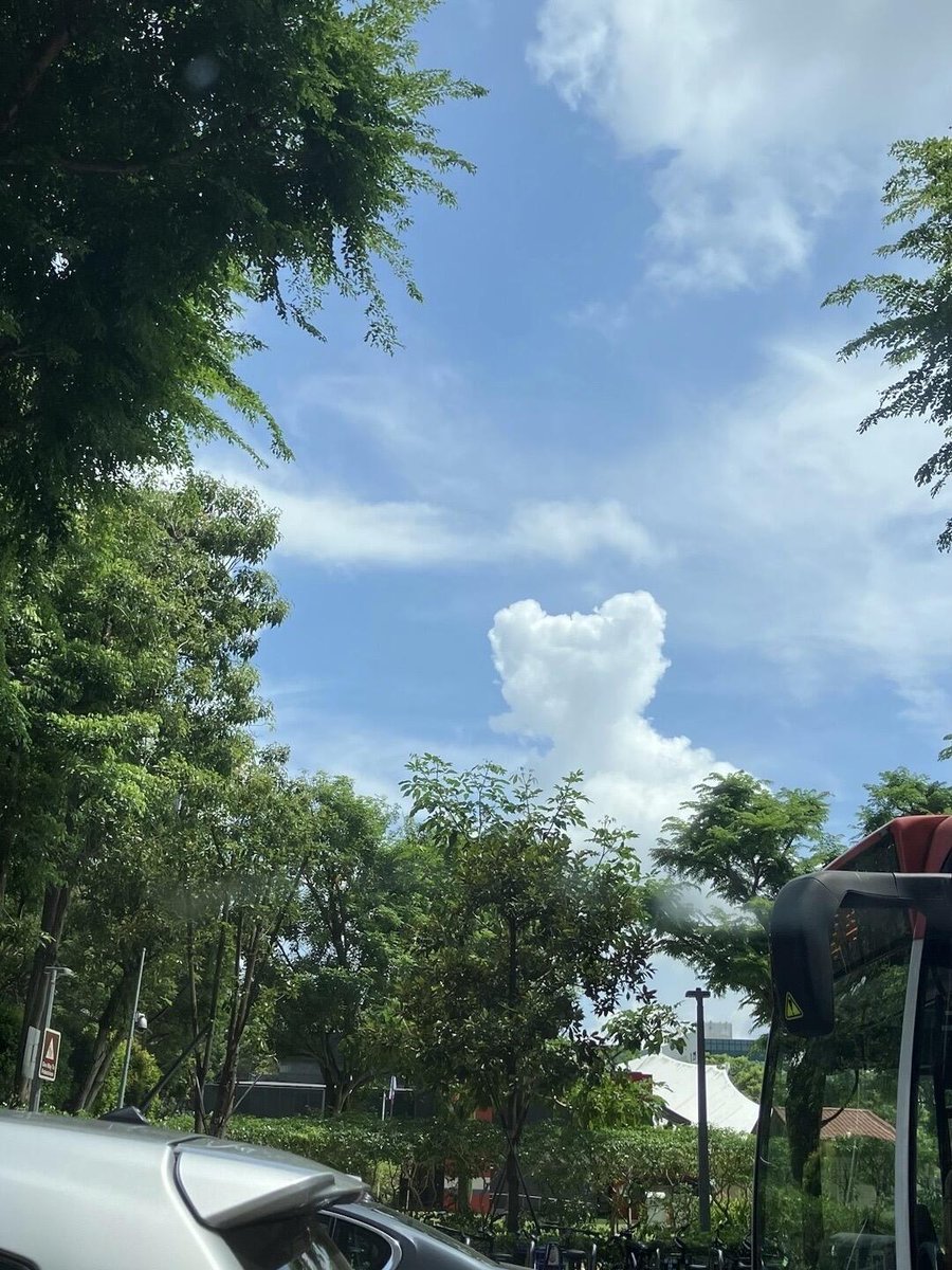 soft_sunribkty's tweet photo. The weather is so nice, so I came out for a walk.

Caught a cloud that looks just like a bear. https://t.co/sxEKhBkEDR