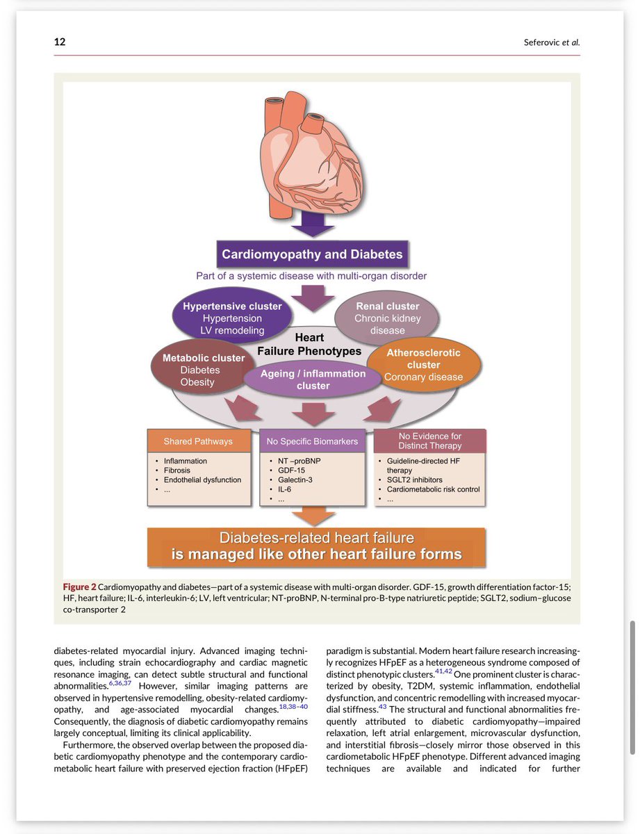 JBauersachsMD's tweet photo. 🔥 Hot of the press in EHJ 🔥

Great debate: diabetic cardiomyopathy is a distinct disease https://t.co/i5giNY1lwB

@ehj_ed @ESC_Journals @EJHFEiC @Herzmedizin_de @SJGreene_md @DavidDuncker @HenrikeHillmann @TRassafMD @slumberbell @SamuelSossalla @YoungDgk https://t.co/cwbJpXYvpi