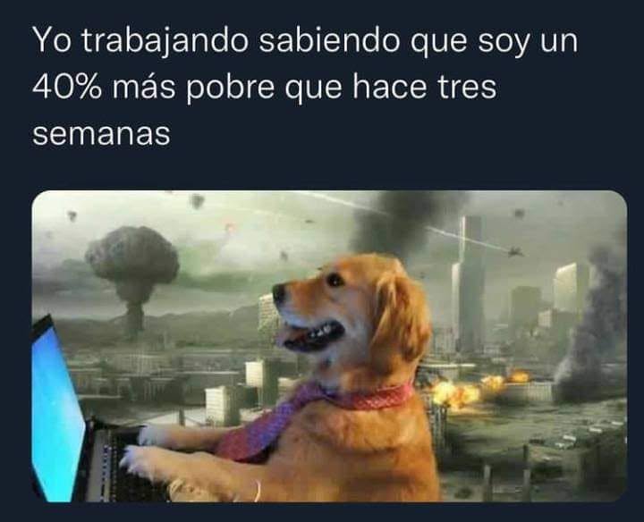 MartinPaeznke's tweet photo. jajaja https://t.co/c4ykZkfGQn